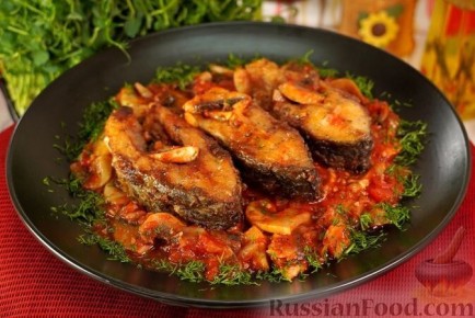 ������ ���������� �� ������ ����