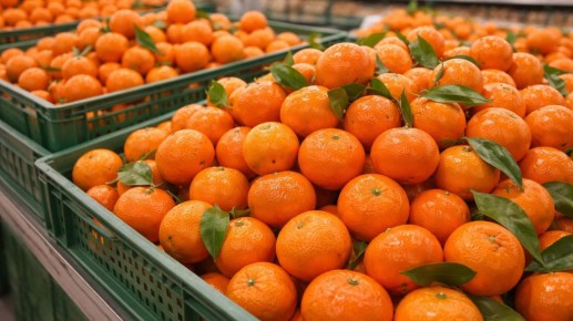 ���������: ������ ���������� �������� � �������� � ����� �������