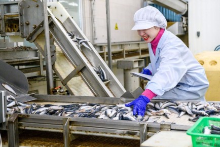 ������ ���������� ������� ����: ������� �� 6 ���������� ��������