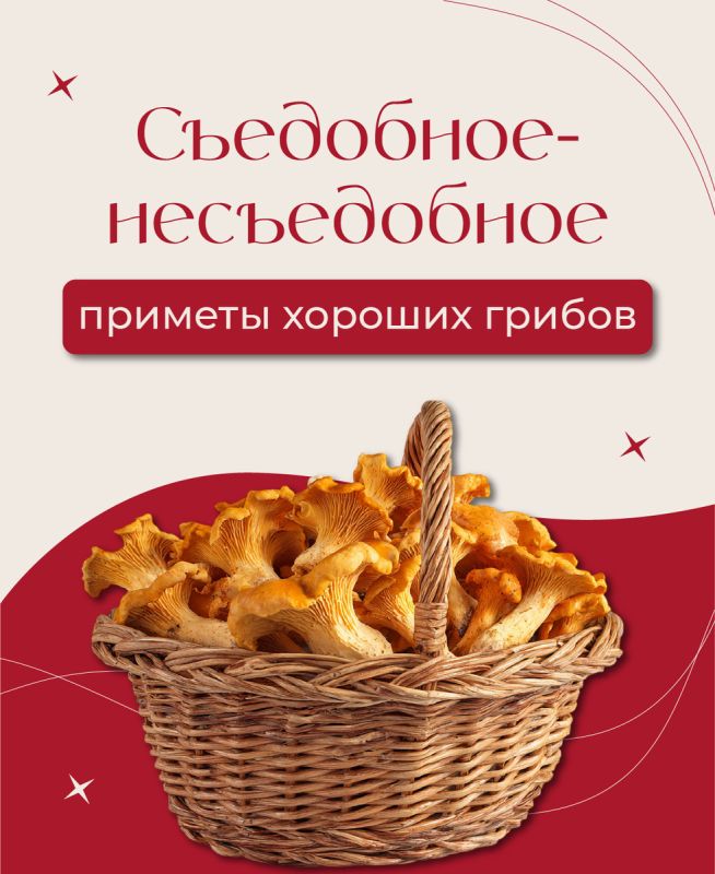 ��� ��������� �������� �����: �������� ������ ��� ���������