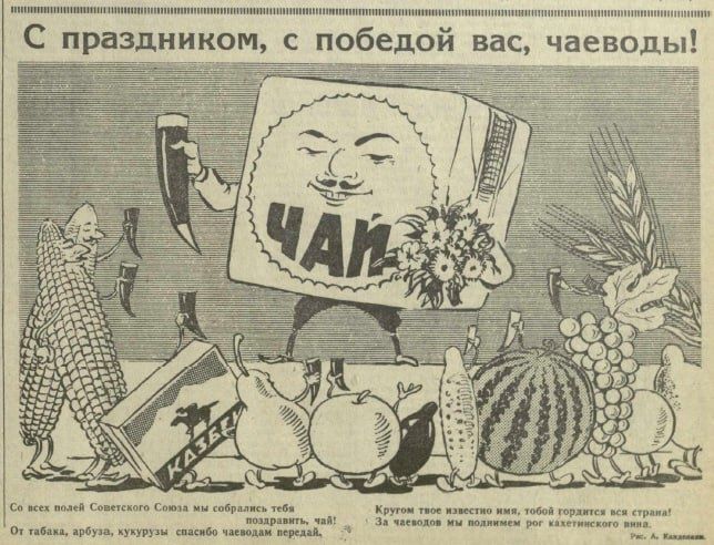 ������ ���������: �� ������� �� �������������