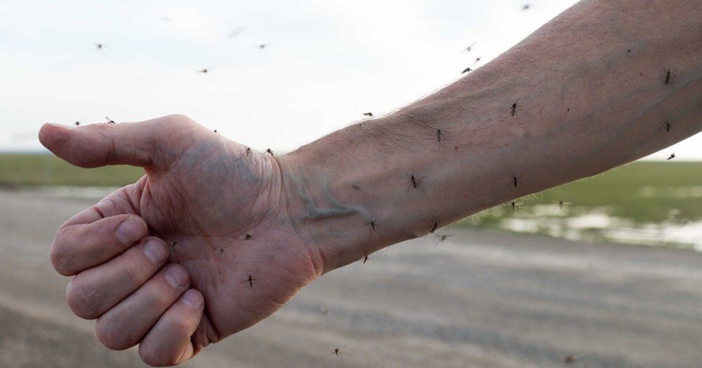 ������ ������ ����� �����������: �� ��� �������� �������� � 2025 ����