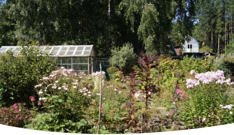 ����� ������� ���������: ��� ��������� �������� 2025