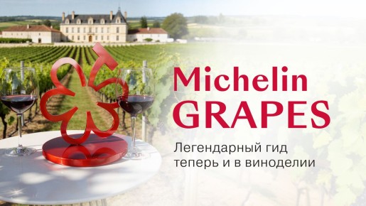 Michelin Grapes: Новый взгляд на виноделие