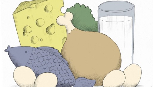 ��� ���� � ������, ����� �� ������: ������ ��������� ��������� �� ����������������