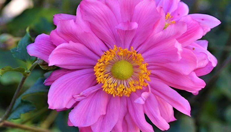 ������� ����� ��� �������� ������� ����