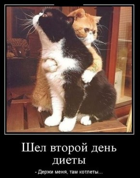 Как осознанное питание и кето помогают избавиться от лишнего веса