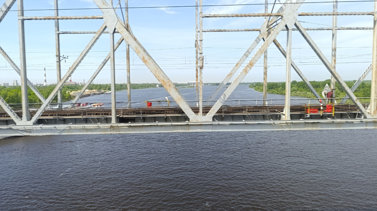 Преображение дачи: уход за клубникой, борьба с вредителями и новые посевы