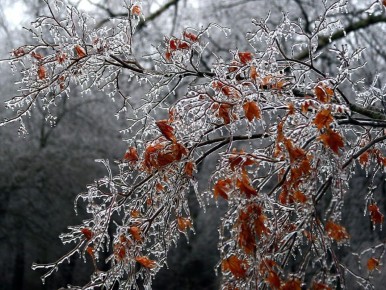 ��� �������� ������� �� ������ ������� � �������� ����������