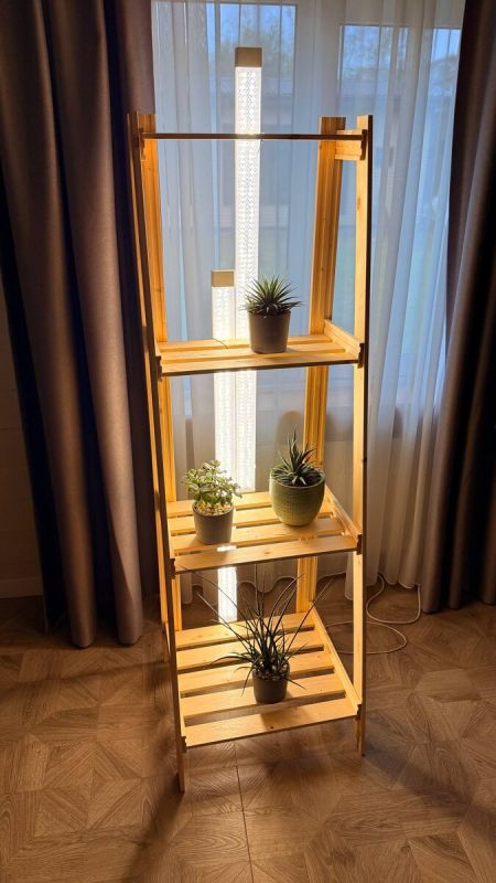 ����������� ������� ����: ����� ����� ��� ���������� �����?