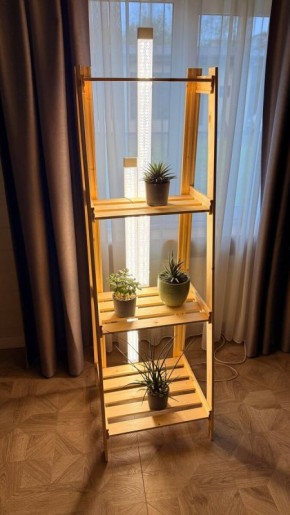 ����������� ������� ����: ����� ����� ��� ���������� �����?