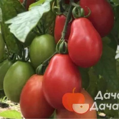 ����� ������� �����: ��������� ����� �������������� ������ � �������� ��������