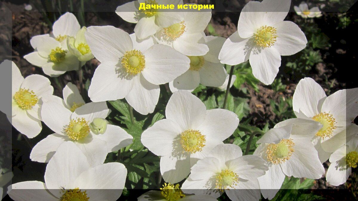 ������ ����� ��� ����: ��� ��������� �������� ������� ��� ���