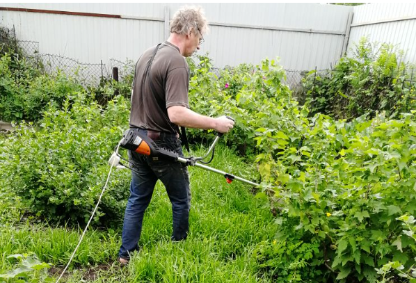 Садоводство: традиции и стереотипы на грани перемен