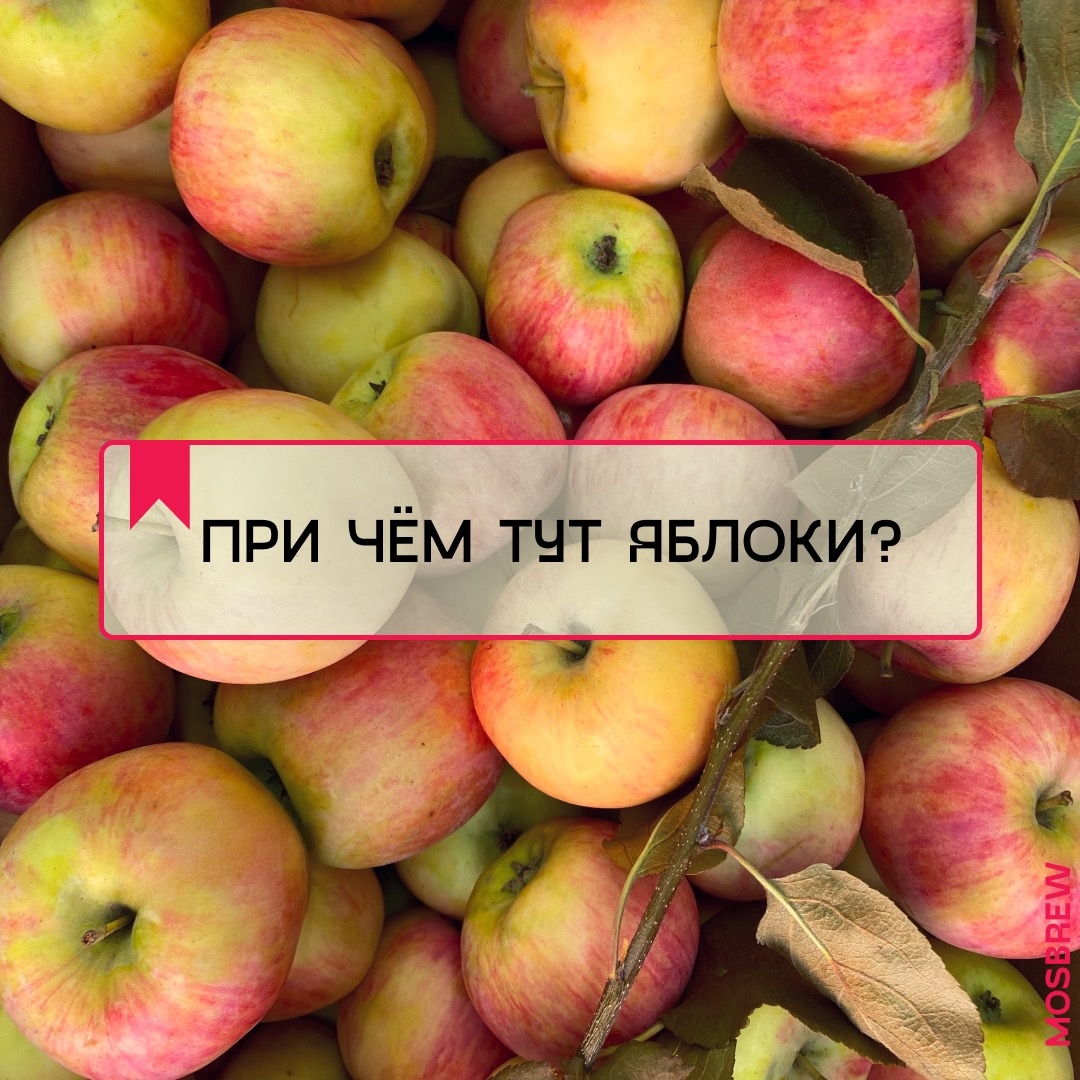 Неожиданное сочетание: яблоки и пиво в вашей кухне