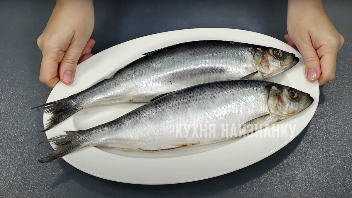 ��������� ������ ������� �������, ������� ����� �����������