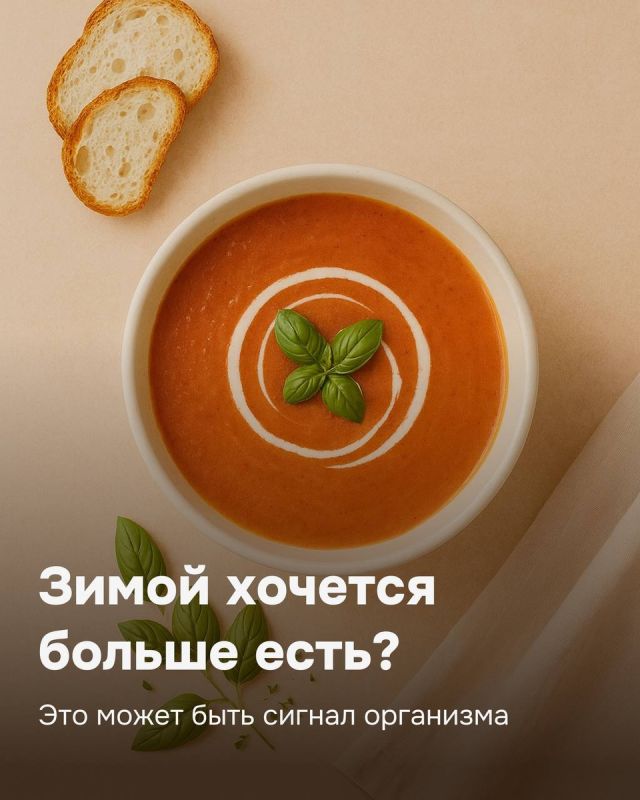 ������ ����� ������� ���� ������: ����������� � �������� � ������������