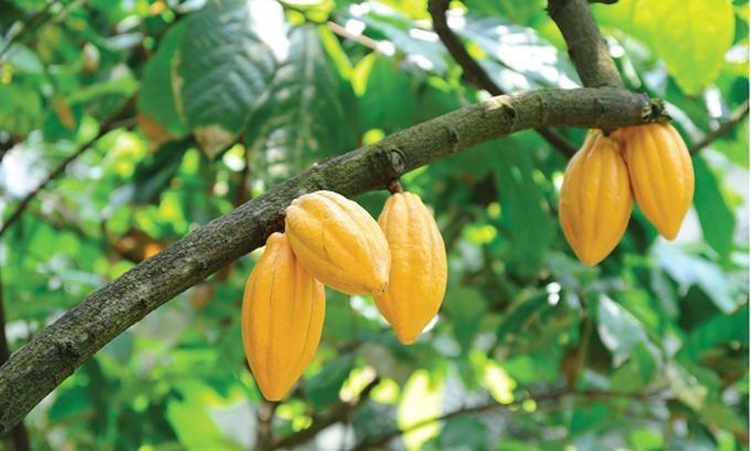 ������� ����������� ������: ��� ������������ ������� ���������