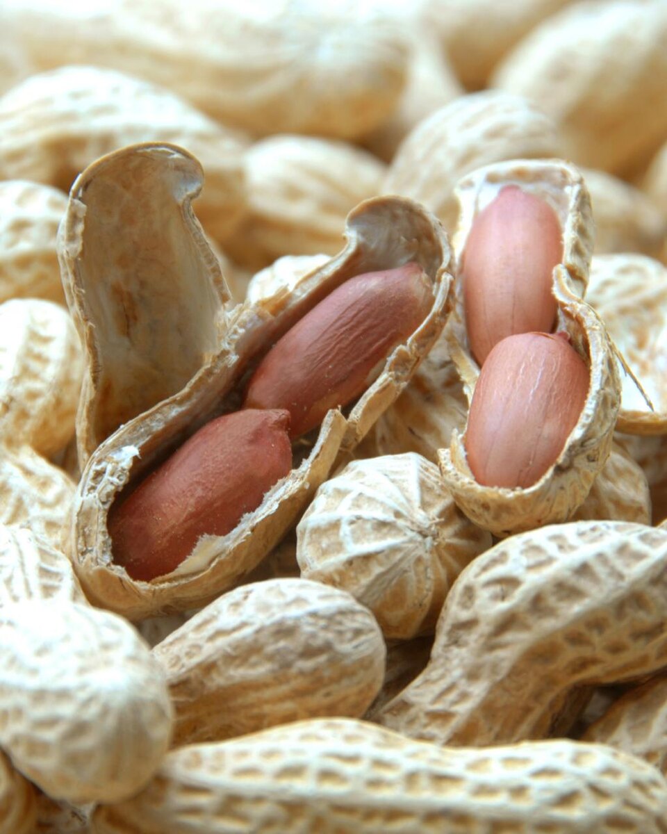 Польза арахиса: как орехи улучшают сон и настроение