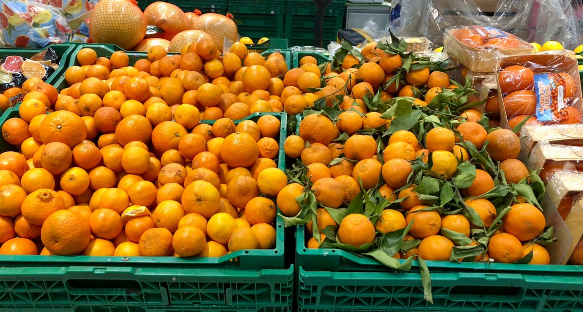 ��� ��������� ����� ����� �������� �������������: ������ ��� ������������