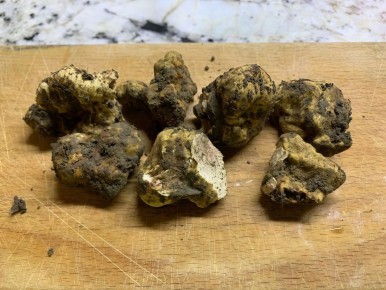 ������ ��� ��������� ����� ������� � ������ � ���� ���� ��� ���������������