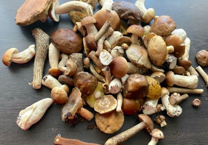 ��� ��������� ������������ ������ ����� �� ����