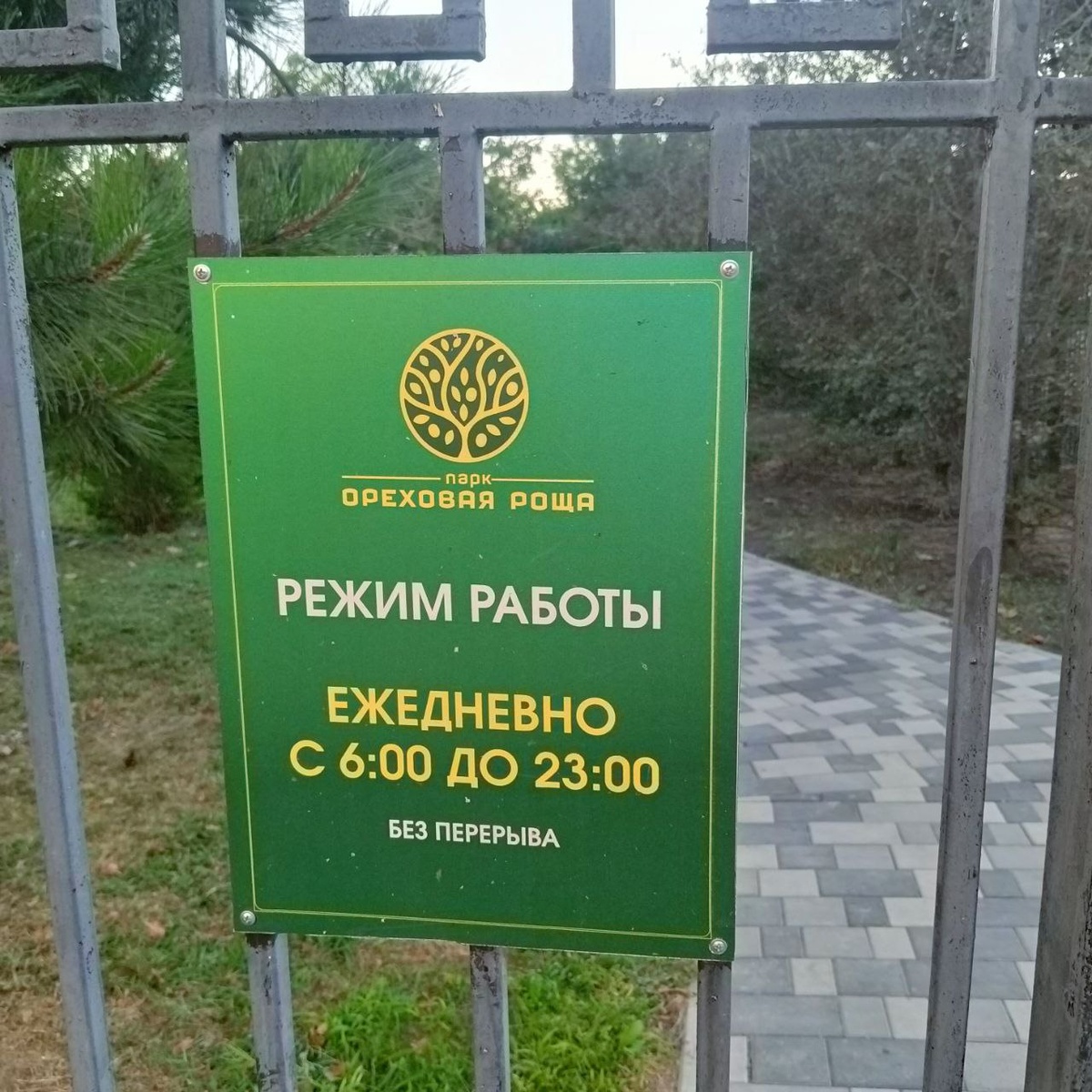 Неожиданное разочарование в парке Анапы