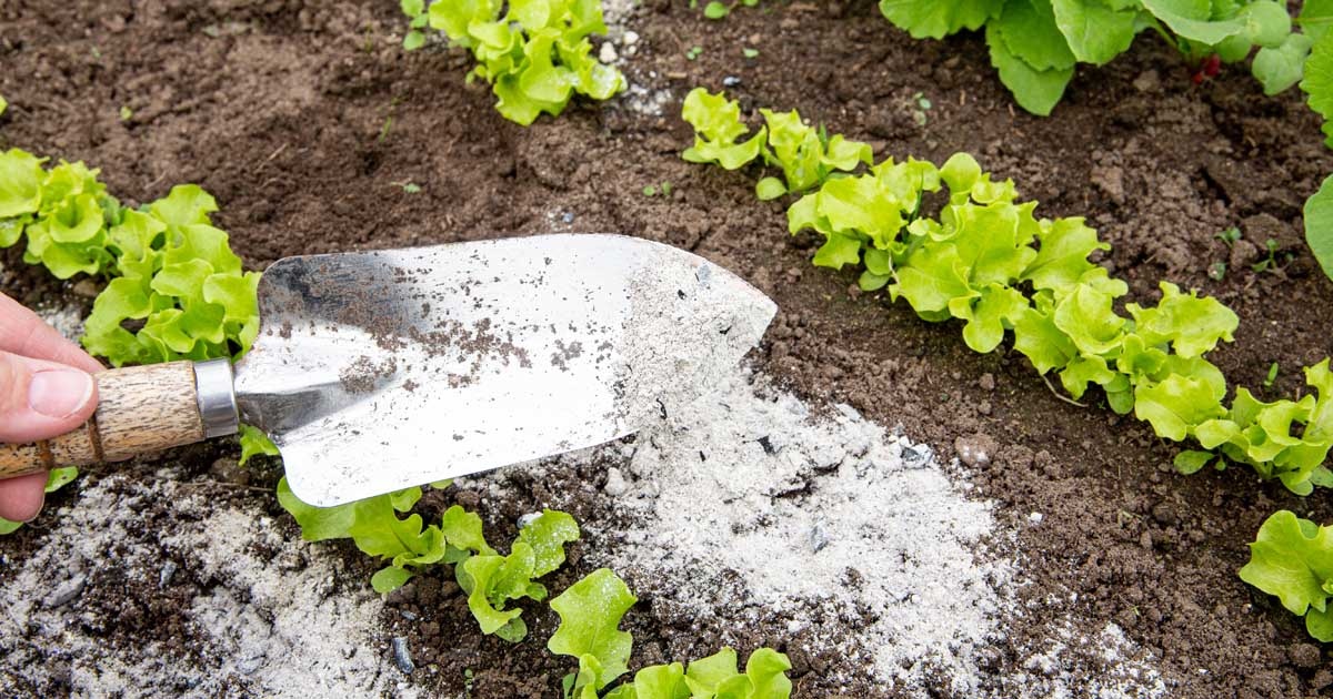 Как дачникам сэкономить 10 тысяч рублей без лишних затрат