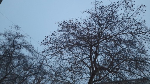 ����������� ��������� ��������: ��� �������� ����� ������ � ������ �����