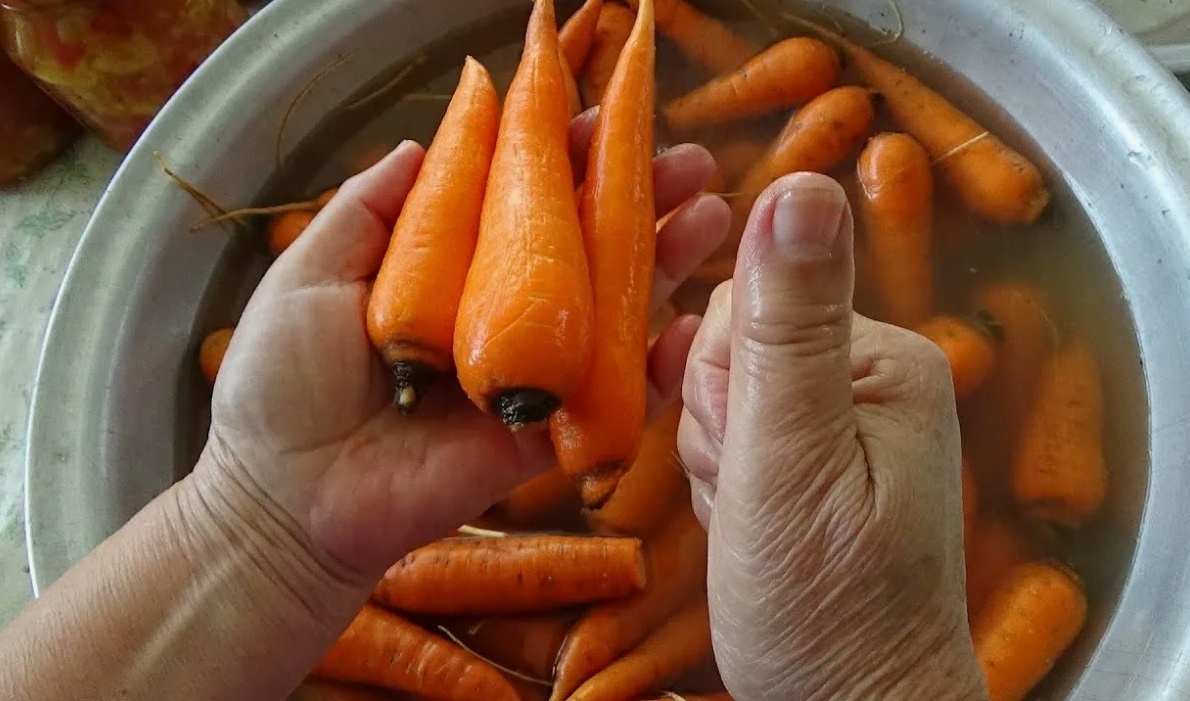 Способы вернуть жизнь в морковь: как реанимировать овощ, не отправляя его в мусор