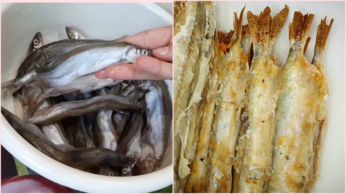 ��� ����������� ����� � �������: ������� ������� � �������