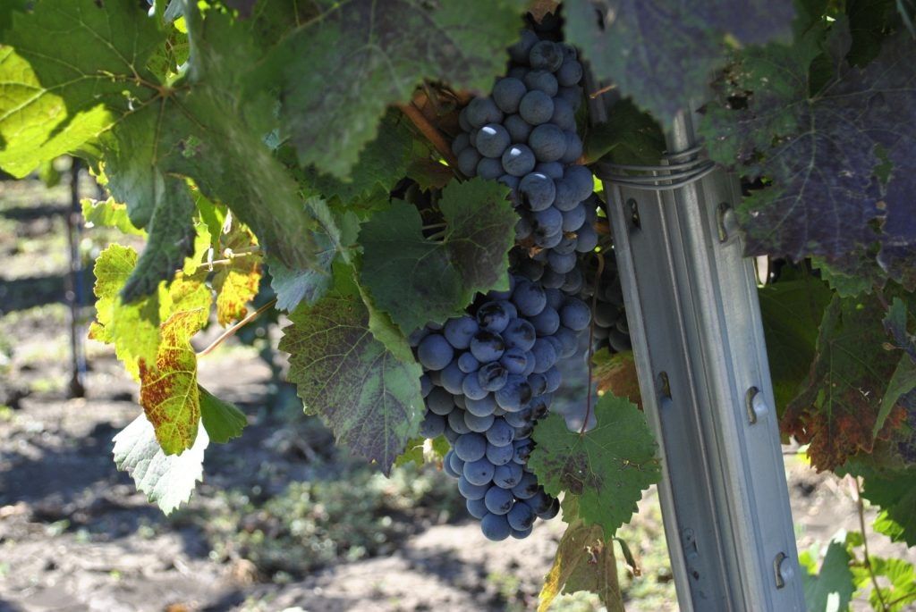 ������� ���� ����������� �� ������������� �������� � ����� ������