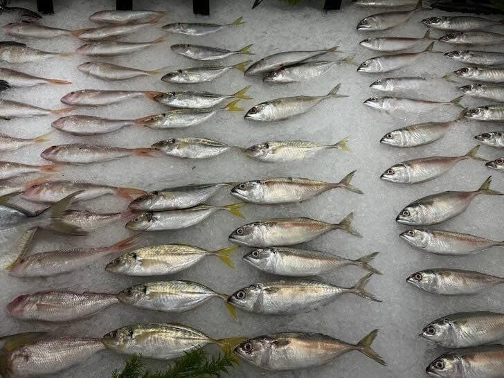 ��� �������� ��������� � ����: ������ �������� � ���������� ���������