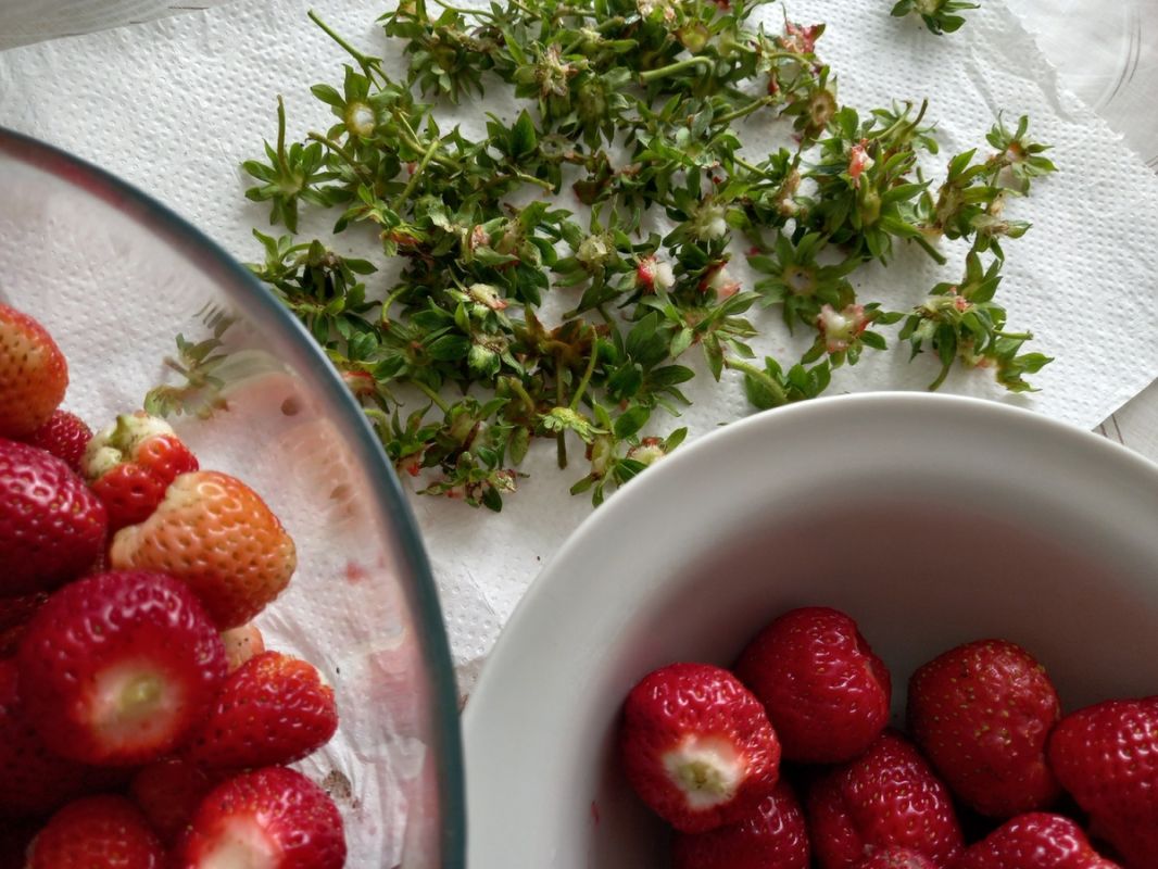 ��� ��������� �������� ���� ��� ������ ������