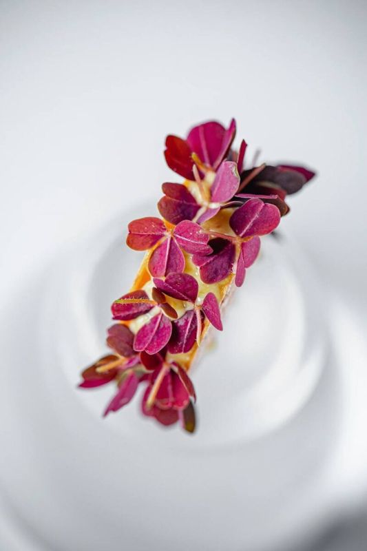 ��� ��� �� ���� � ��������: ������� �������� �������