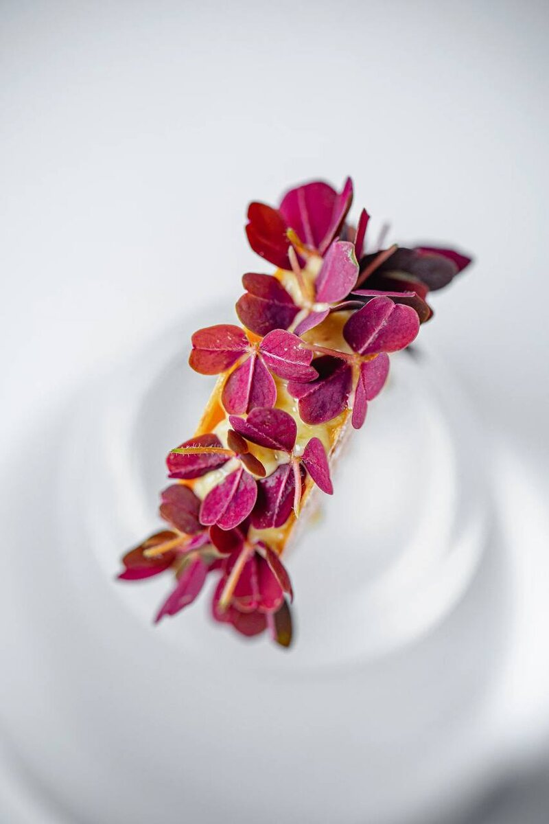 Тар тар из сёмги с сулугуни: вкусная симфония текстур