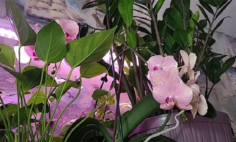 ��� ������� ����� �������� ��������� ����� �������