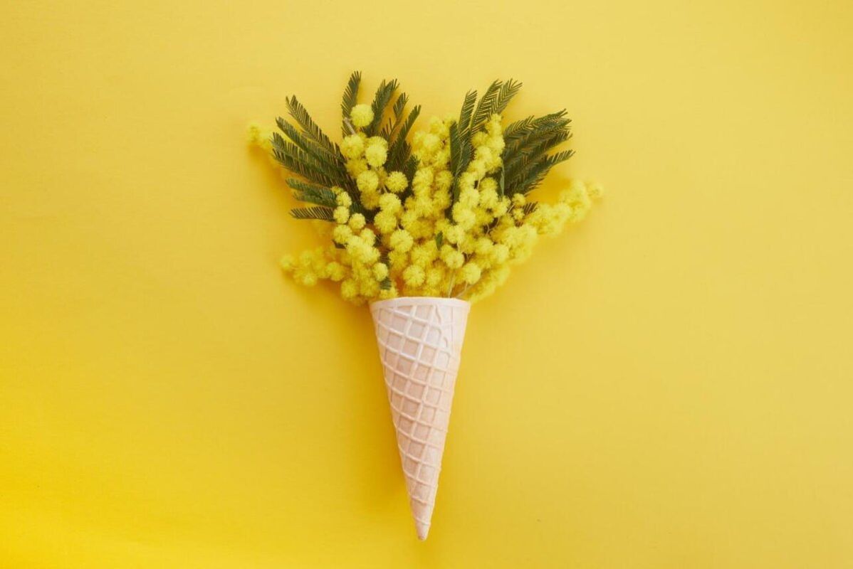 �������� �������: ���-5 ���������� � ���������� � �������� ���