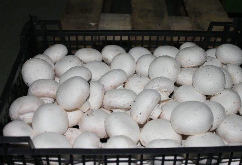 ����������: �������� �������� � ��������� ���� ��� ��������