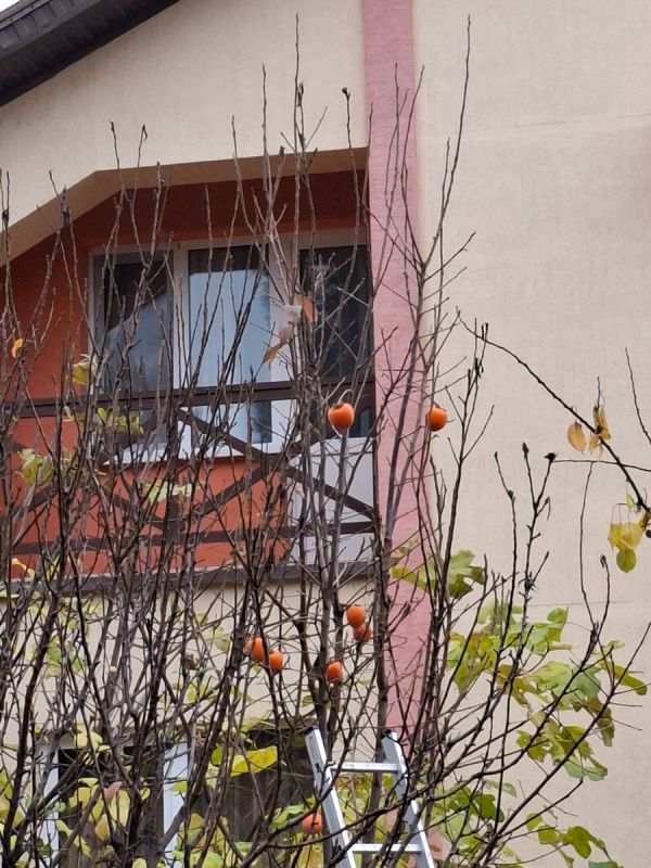 ��������� �������� � ������� ������� �����