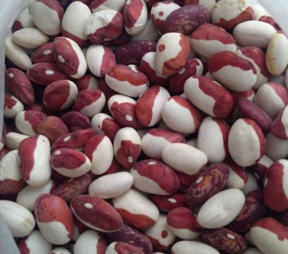 �������� ������: ������ ����� ��� �������� ������ �� ����