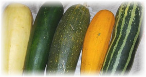 Как правильно сохранить кабачки на зиму: секреты и советы