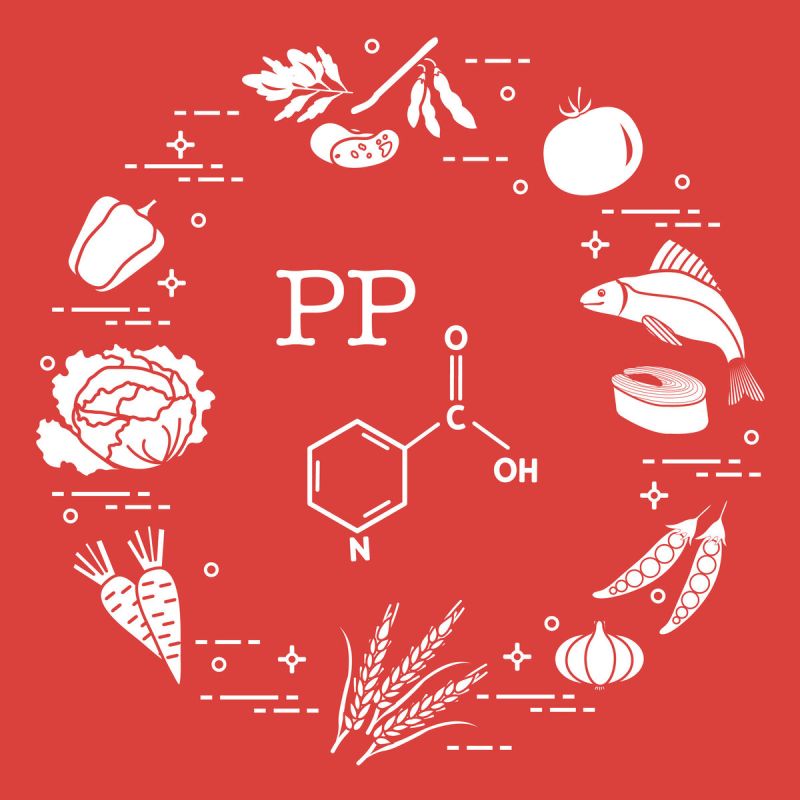 �������� ������ PP: �� �������� � ���������