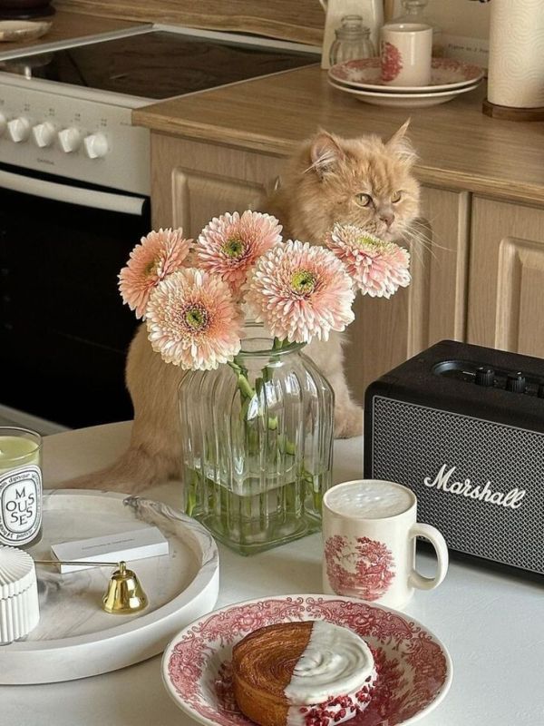 ��� ������� ��������� �������: �������� � ����