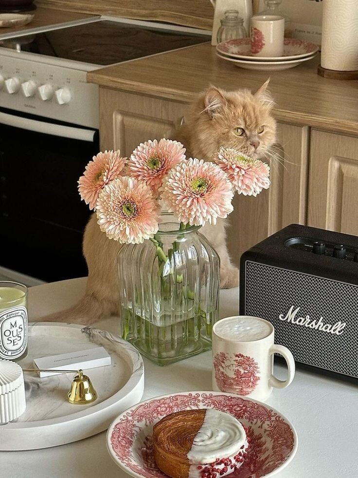 Как создать идеальный завтрак: эстетика и вкус