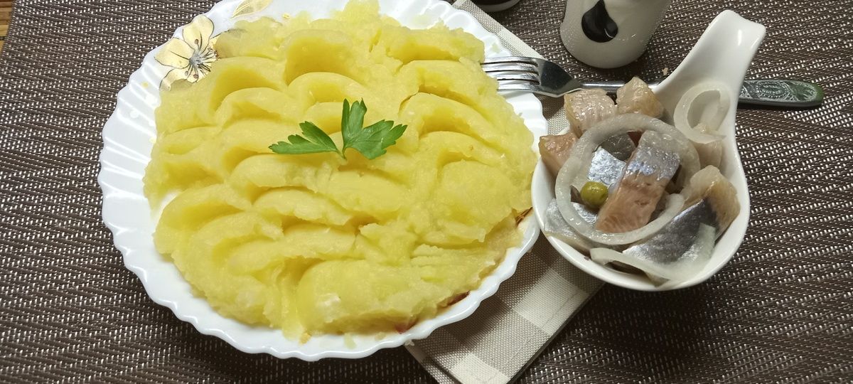 ����� ������ �� ������������ ����: �������� �������� ������