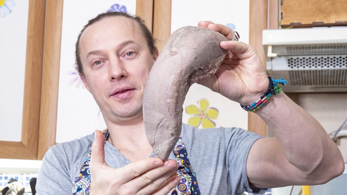 ������� ����: ���������� ������� � ������ ����