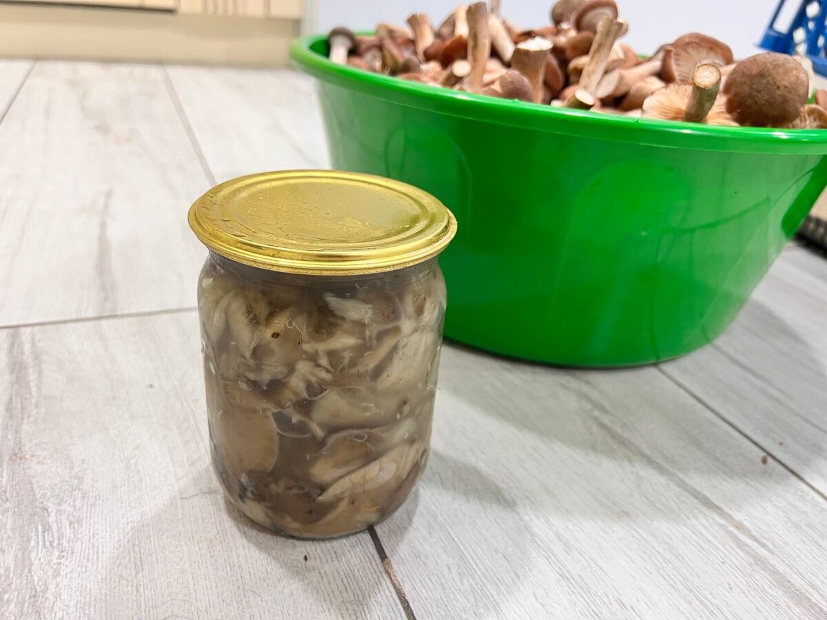 Как заготовить соленые опята на зиму: простой рецепт, проверенный временем