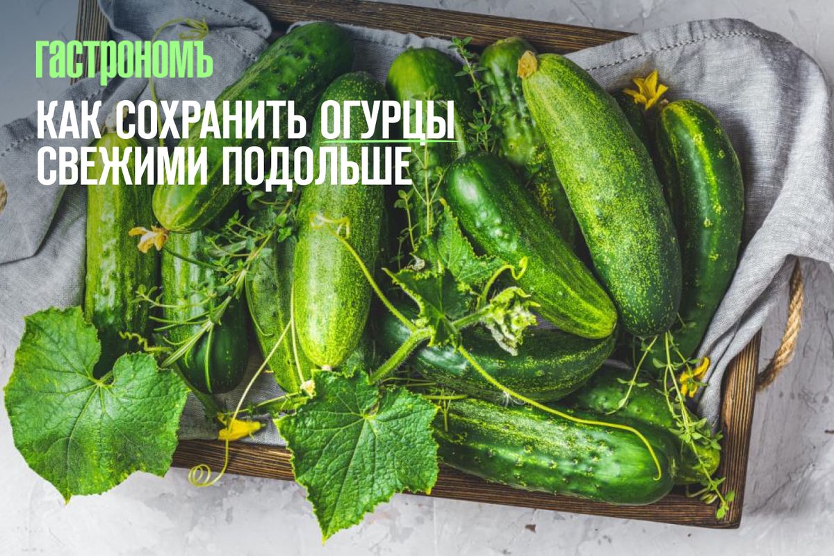 �������� � �����: ��� ��������� ������ �������