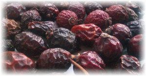 ��� ��������� ������ � ������� �������� ��� ������������ ������